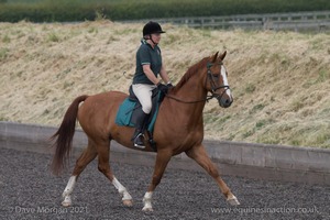 ISIS Dressage Challenge 2008